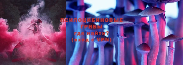 хмурый Алзамай