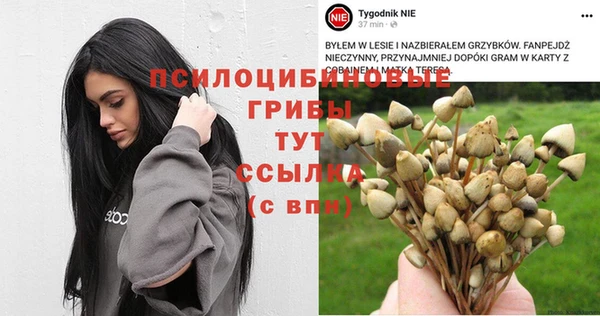 дживик Абаза