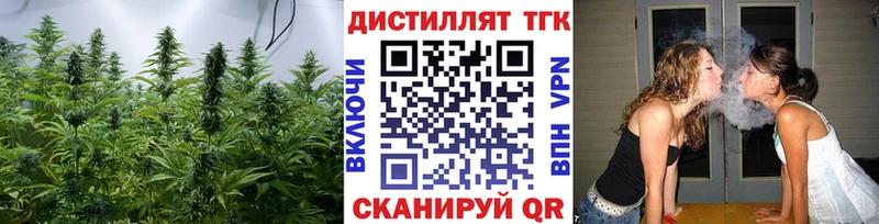 где купить   Навашино  ТГК Wax 