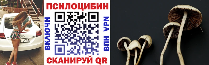купить наркотики сайты  Навашино  Галлюциногенные грибы Psilocybe 